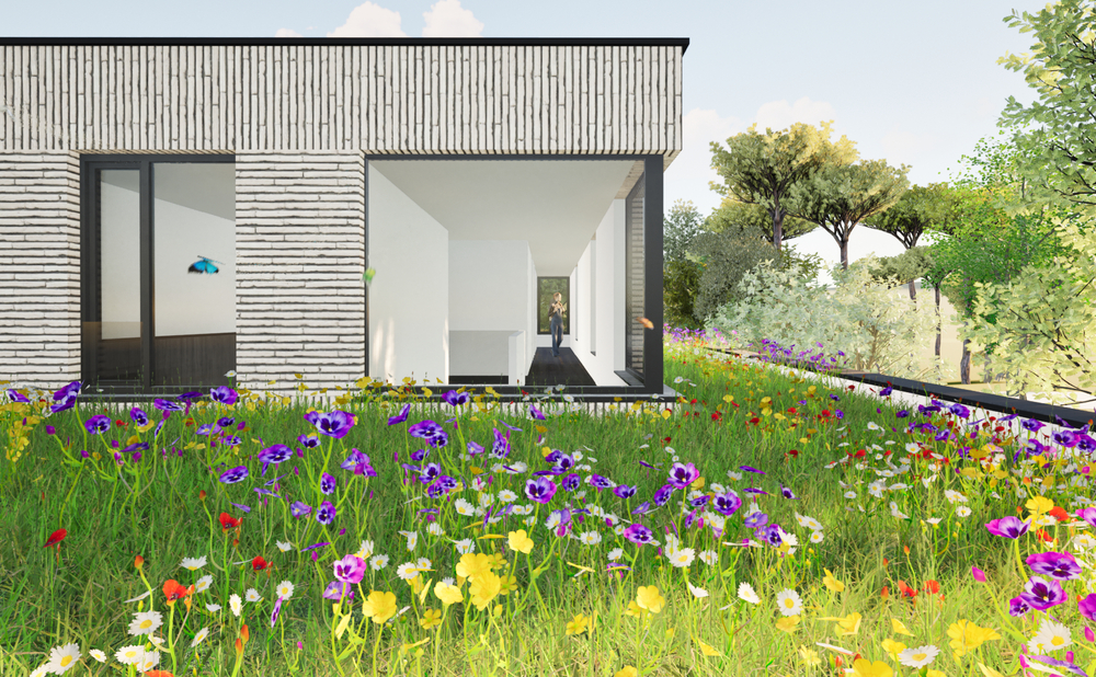 Toiture verte 0294